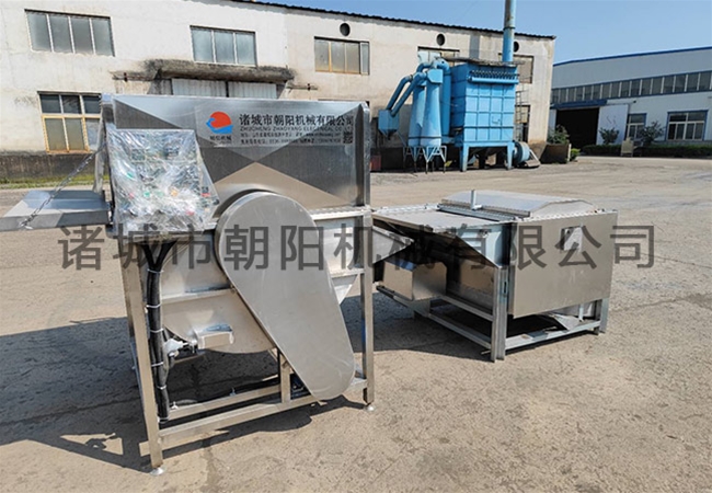 Full automatic poultry scalding and stripping machine